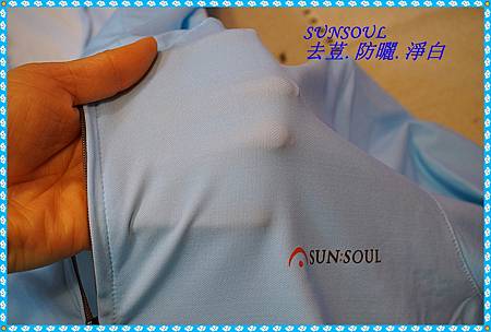 DSC00431 DSC00431