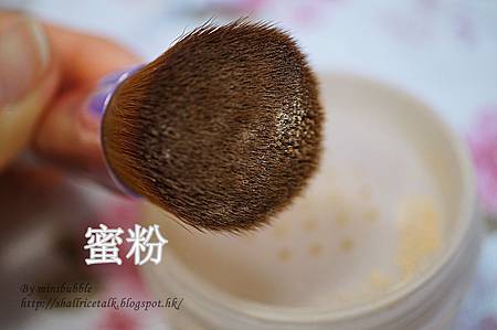 DSC00196_副本 DSC00196_副本