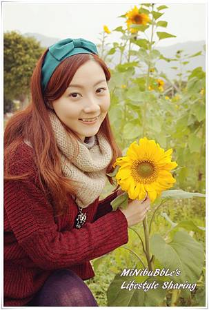 DSC07874_副本 DSC07874_副本