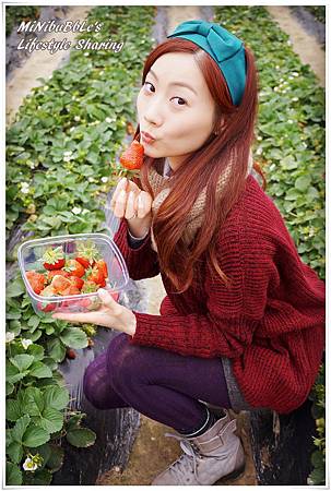 DSC07954_副本 DSC07954_副本