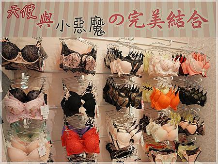 DSC03315_副本_副本 DSC03315_副本_副本