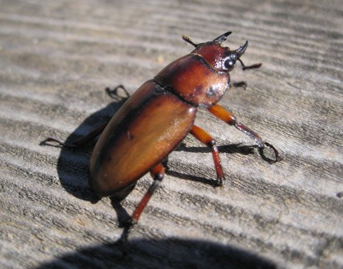 176-2087.jpg 176-2087.jpg