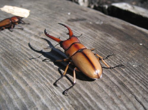 176-2088.jpg 176-2088.jpg