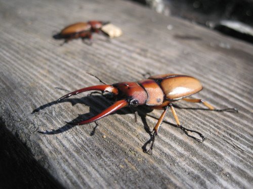 176-2089.jpg 176-2089.jpg