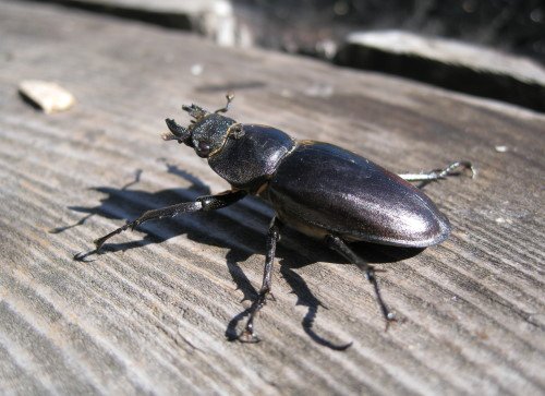 176-2092.jpg 176-2092.jpg