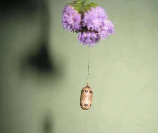 176-6505.jpg 176-6505.jpg