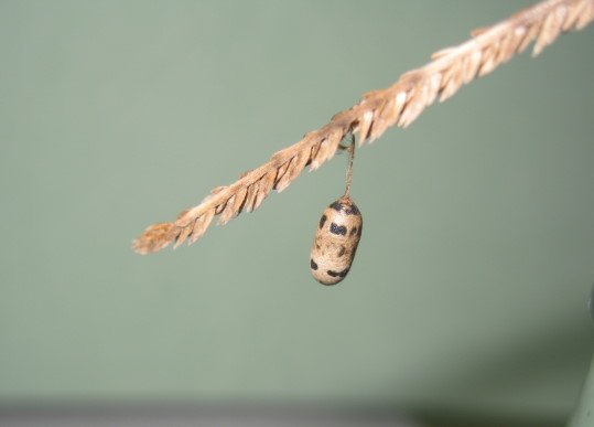 176-6507.jpg 176-6507.jpg