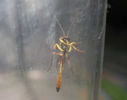 176-6509.jpg 176-6509.jpg