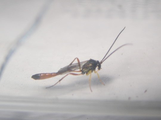 176-6510.jpg 176-6510.jpg