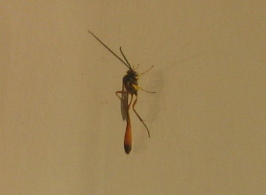 176-6511.jpg 176-6511.jpg