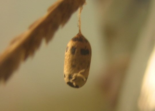 176-6514.jpg 176-6514.jpg