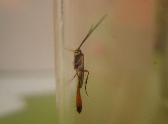 176-6517.jpg 176-6517.jpg