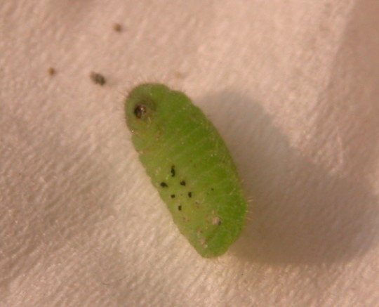 176-6638.jpg 176-6638.jpg