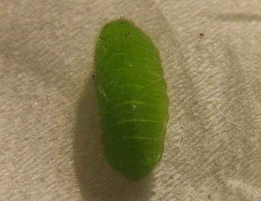 176-6639.jpg 176-6639.jpg