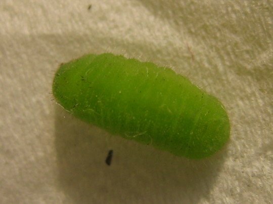 176-6640.jpg 176-6640.jpg