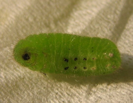 176-6642.jpg 176-6642.jpg