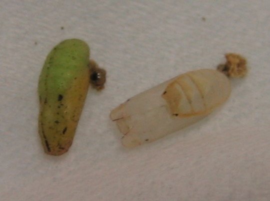 176-6644.jpg 176-6644.jpg