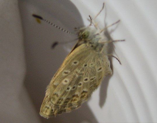 176-6646.jpg 176-6646.jpg