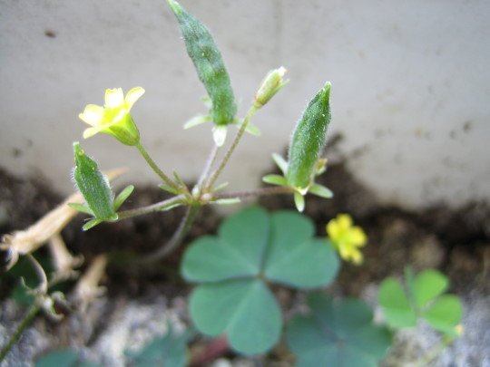 176-6649.jpg 176-6649.jpg