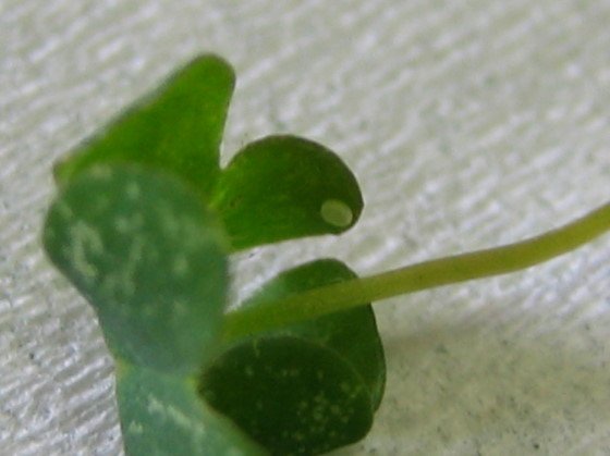 176-7496.jpg 176-7496.jpg