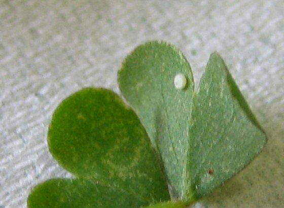 176-7497.jpg 176-7497.jpg