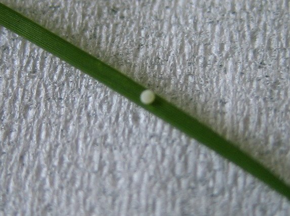 176-7498.jpg 176-7498.jpg