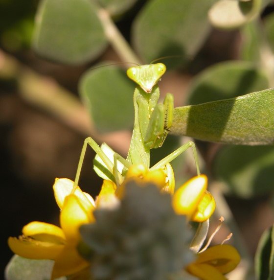 176-6935.jpg 176-6935.jpg