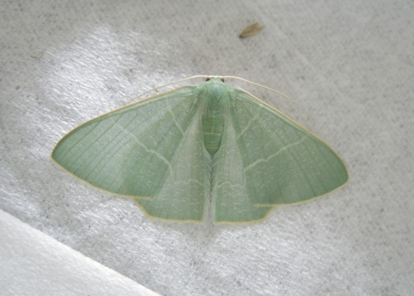 IMG_9419-1.JPG IMG_9419-1.JPG