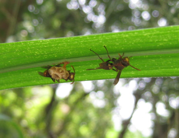 IMG_9882-1.JPG IMG_9882-1.JPG