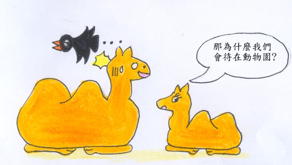 駱駝3.jpg
