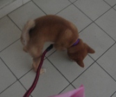 照片 012.jpg 照片 012.jpg