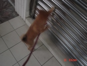 照片 011.jpg 照片 011.jpg