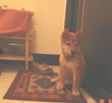 照片 016.jpg 照片 016.jpg