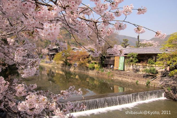 20110413_Kyoto-50_嵐山_1.JPG 20110413_Kyoto-50_嵐山_1.JPG