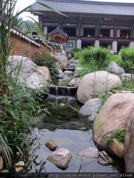 IMG_4584.JPG IMG_4584.JPG