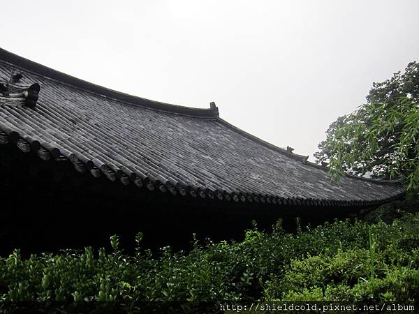 IMG_4569.JPG IMG_4569.JPG