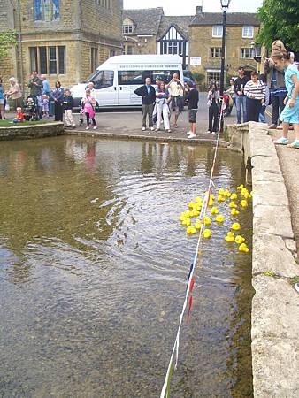 CIMG8479.JPG CIMG8479.JPG