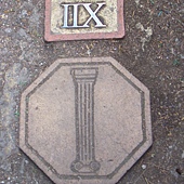 CIMG8515.JPG CIMG8515.JPG