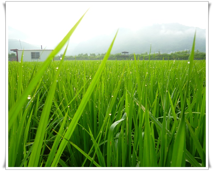 一個人的單車環島0582