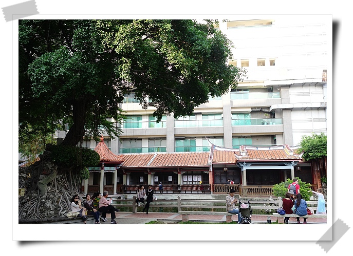 SC07347.jpg