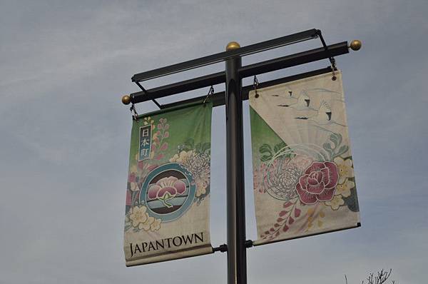 _DSC9748_01 _DSC9748_01