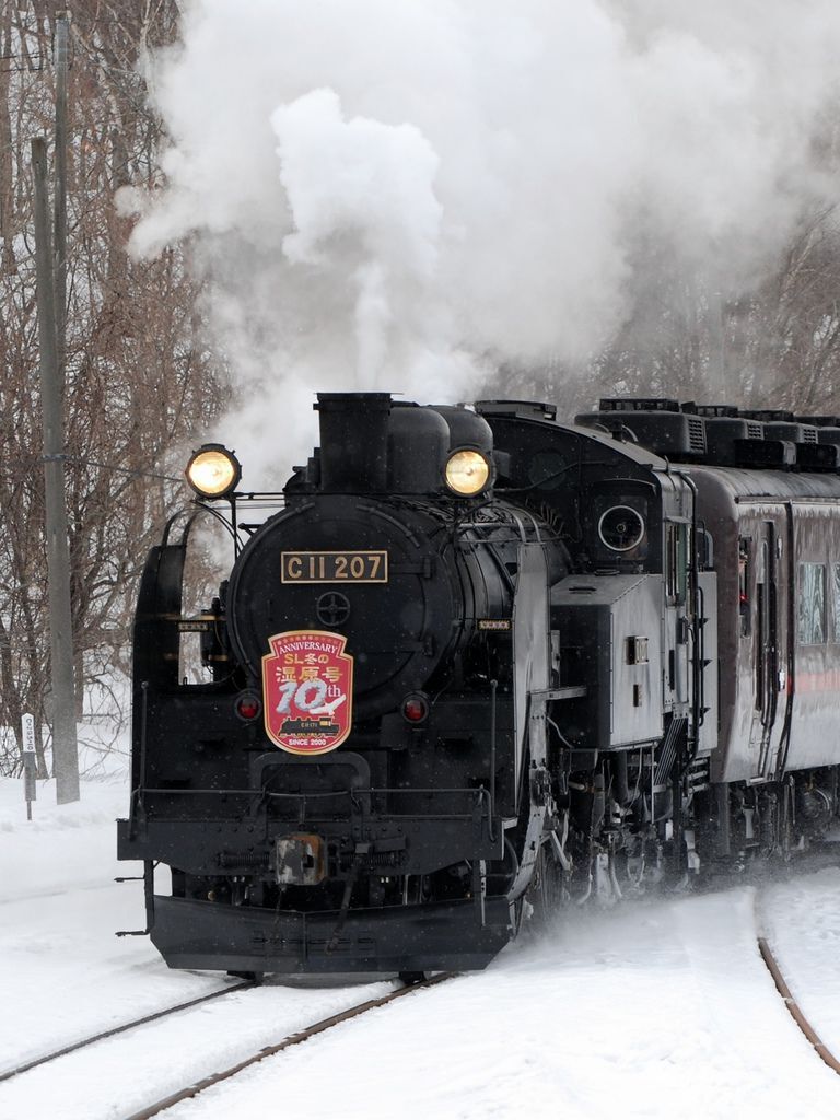 SL冬の湿原号 SL冬の湿原号