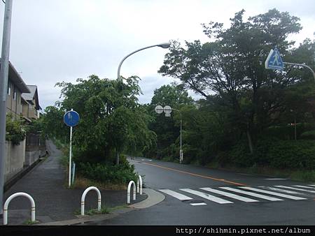 DSCF3186.JPG DSCF3186.JPG