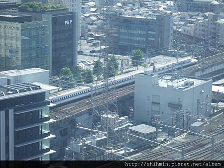 DSCF4229.JPG DSCF4229.JPG