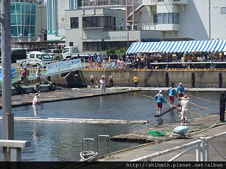 DSCF4338.JPG DSCF4338.JPG