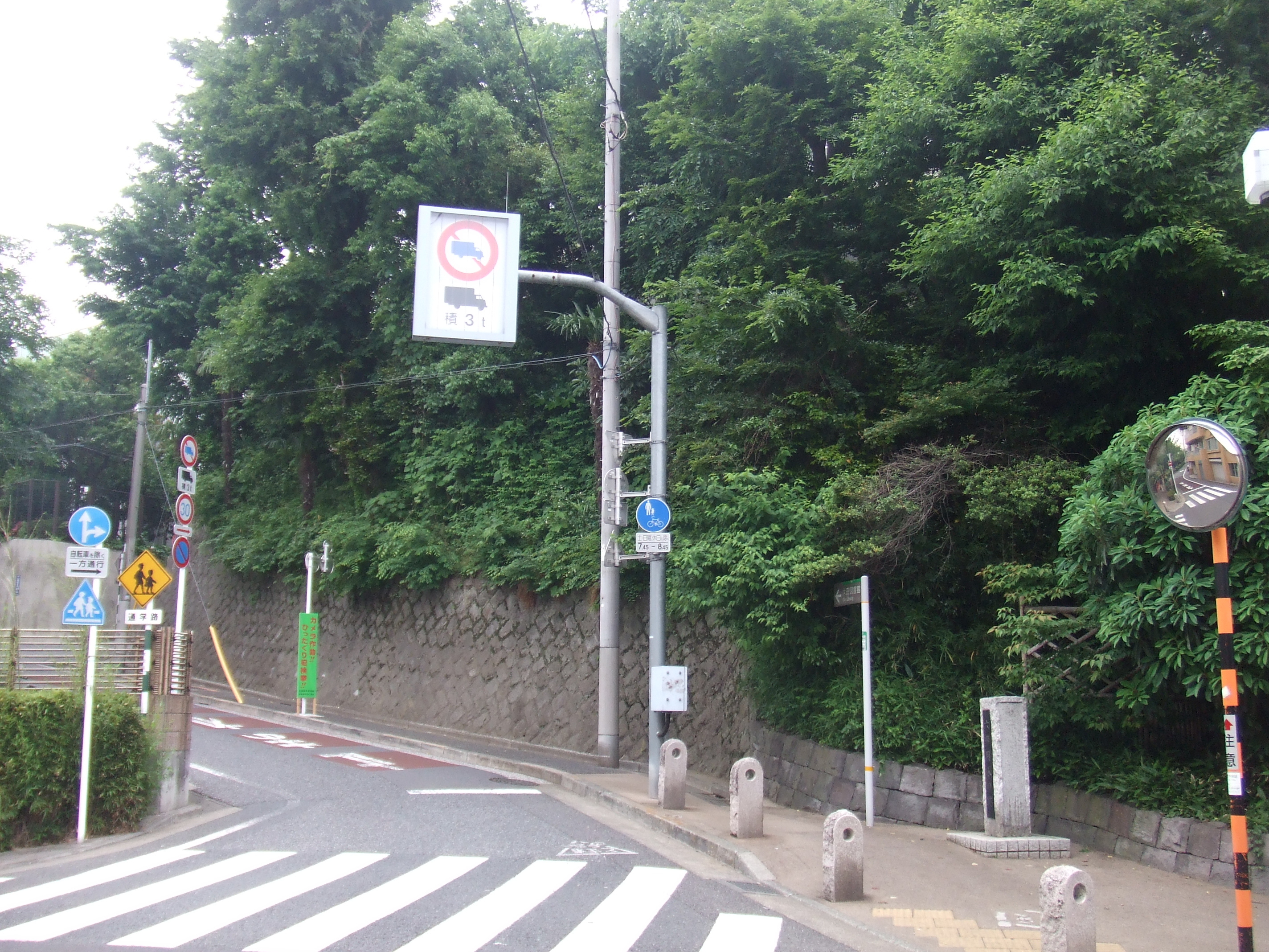 DSCF3020.JPG DSCF3020.JPG