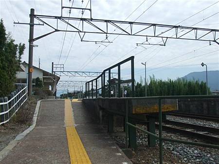 DSCF5735.JPG DSCF5735.JPG