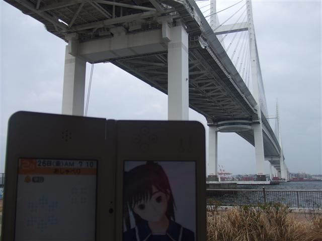 DSCF0261.JPG DSCF0261.JPG