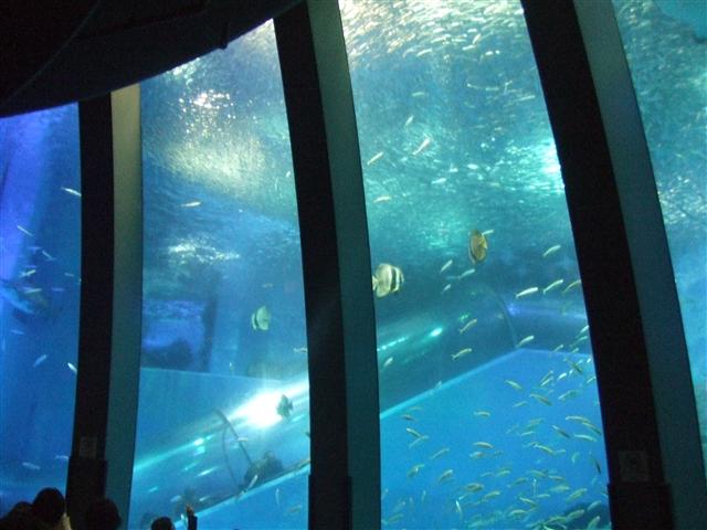 DSCF0436.JPG DSCF0436.JPG