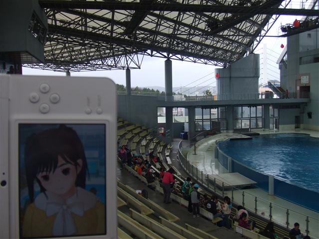 DSCF0446.JPG DSCF0446.JPG